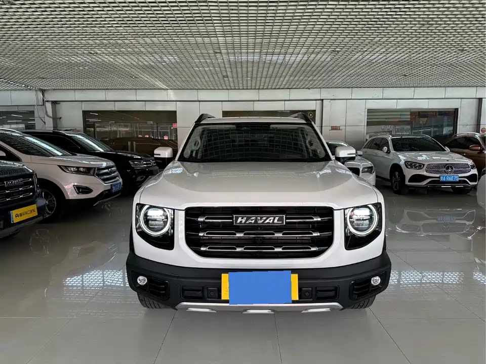 Haval Big dog
