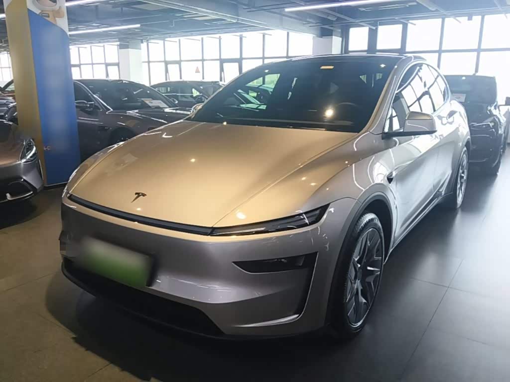 Tesla Model Y L