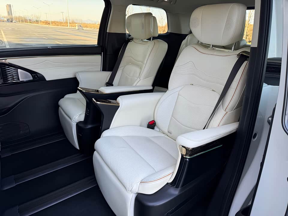 Trumpchi Trumpchi E9