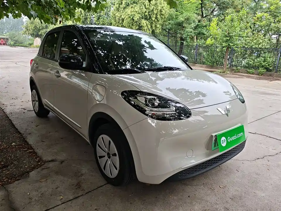 Wuling Wuling Bingguo