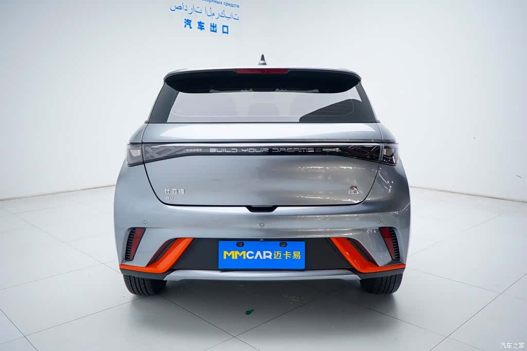 BYD Dolphin, 2023 13