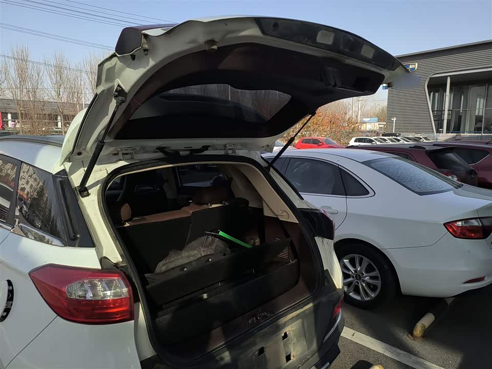 Leopaard Cheetah CS9