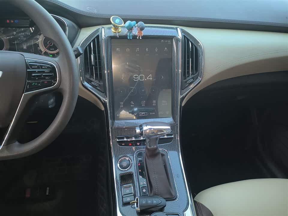 Leopaard Cheetah CS9