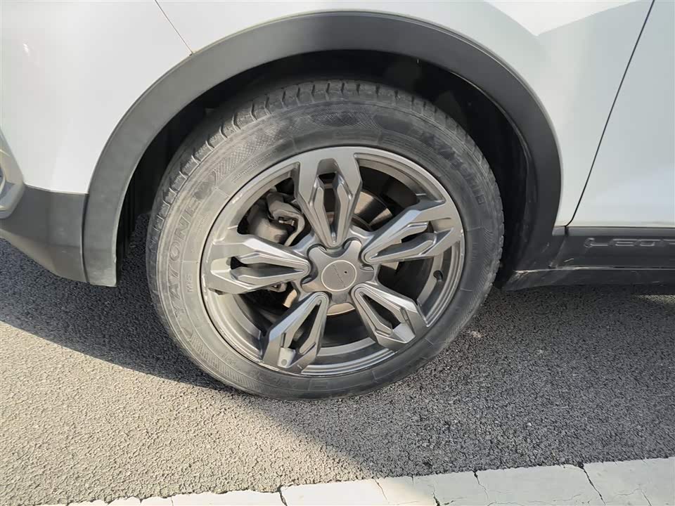 Leopaard Cheetah CS9