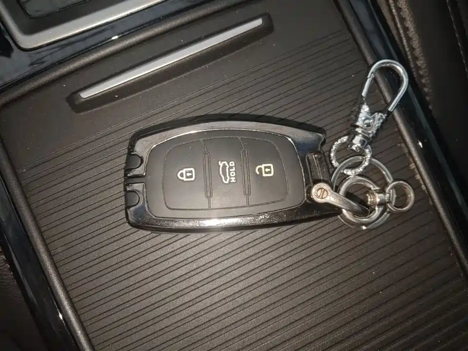 Hyundai Name picture