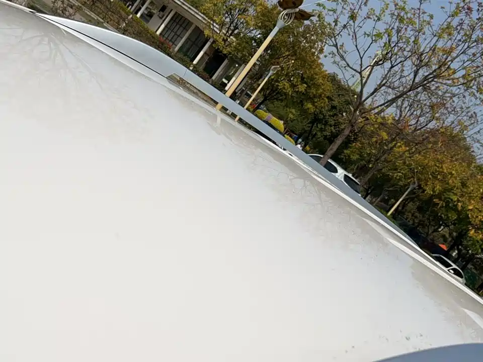 Wuling Wuling Hongguang S3