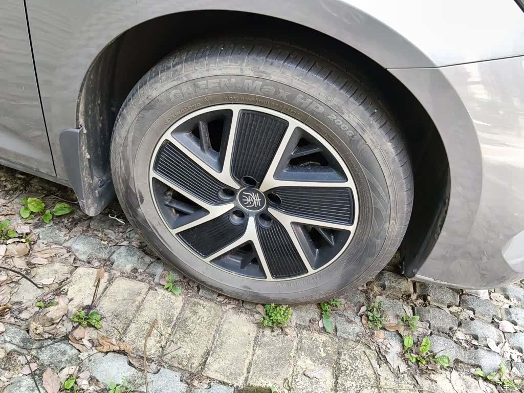 BYD Qin, 2024 25