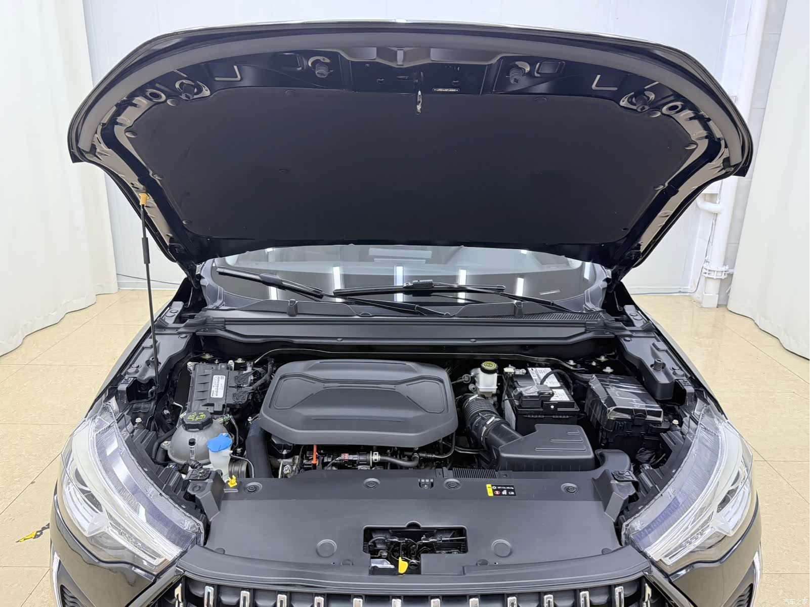 Haval Jolion, 2024 19