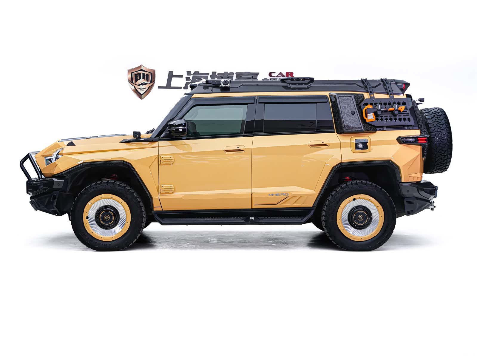 Mengshi 917, 2024 6