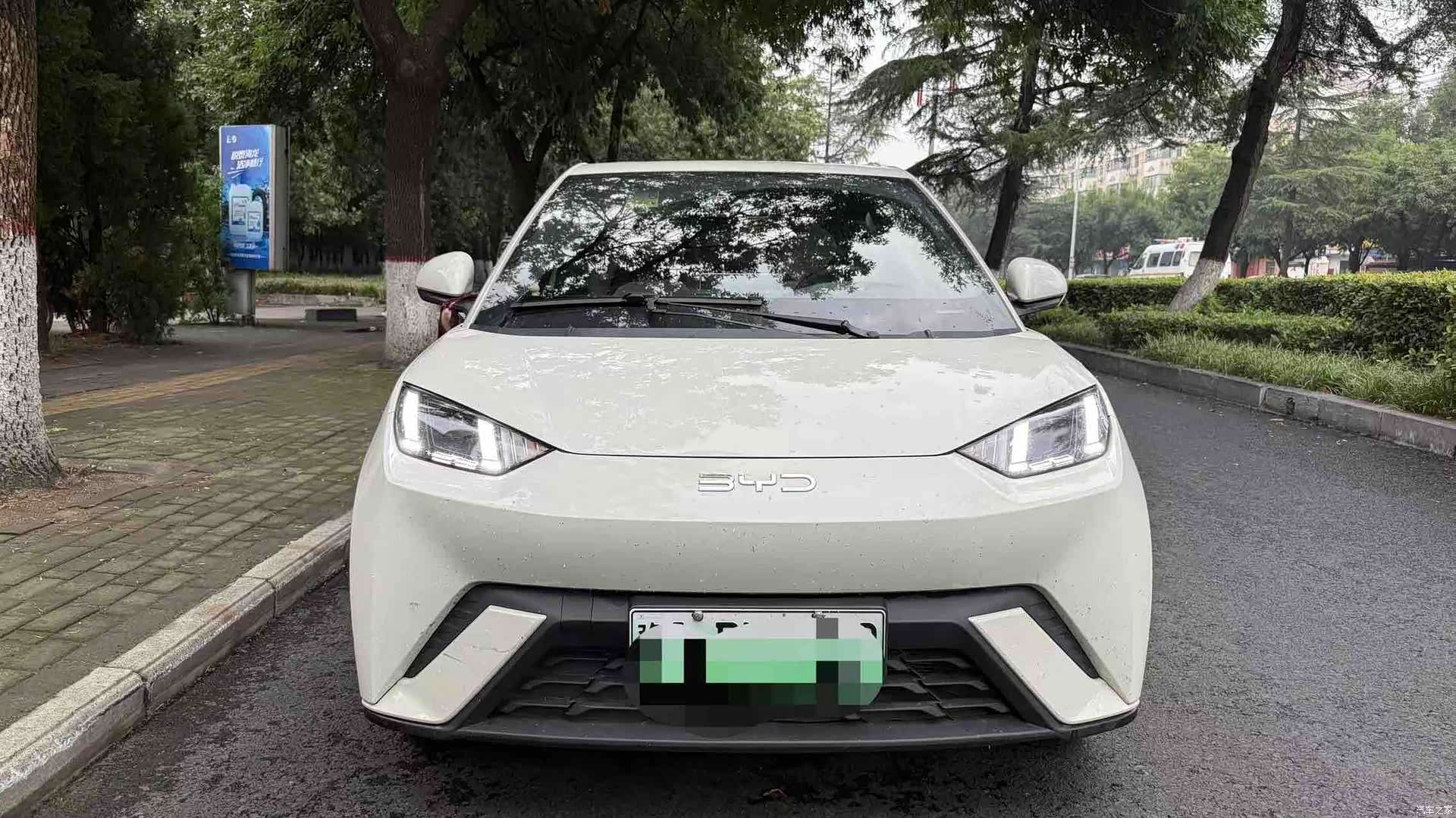 BYD Seagull, 2024 2