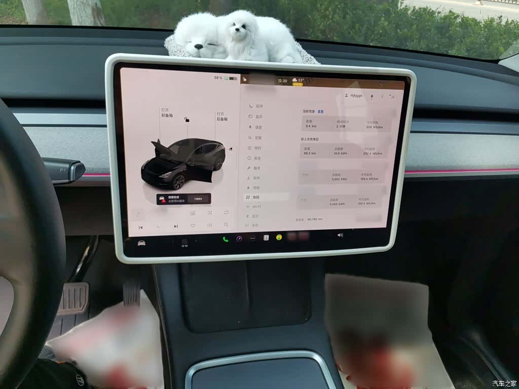Tesla Model Y, 2023 6