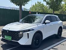������V 2023�� 260T ������ Pro