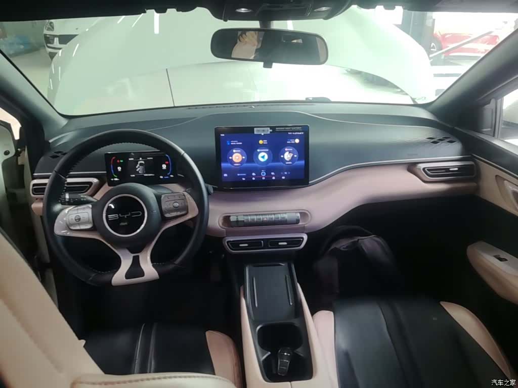 BYD Seagull, 2024 10