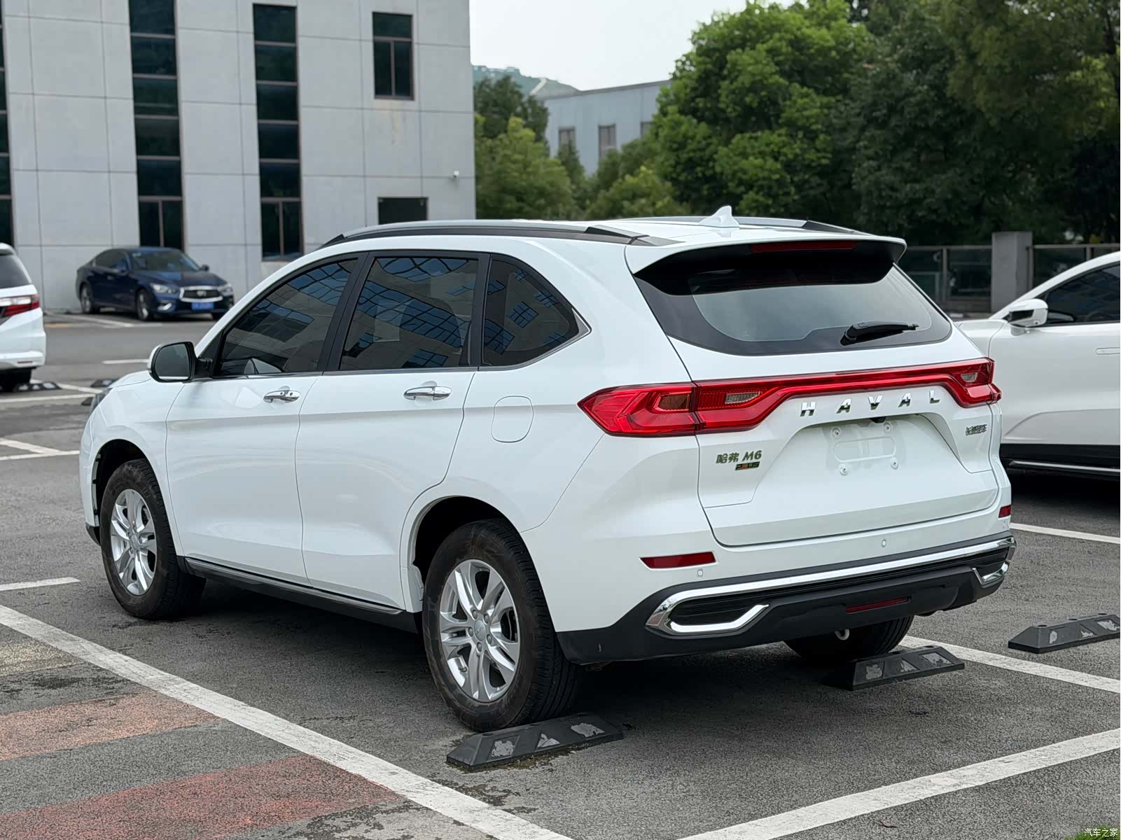 Haval M6, 2022 все фото