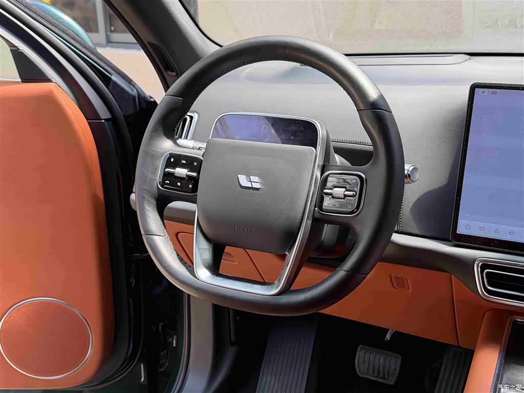 Li Auto L9, 2022 6