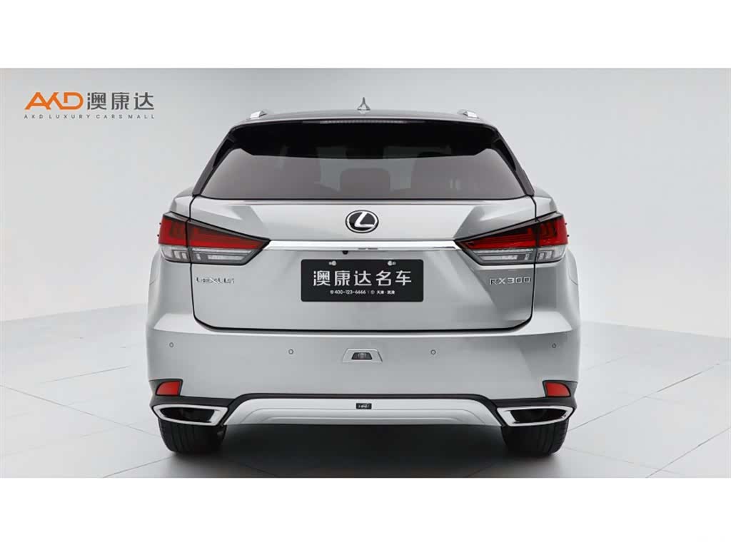 Lexus RX, 2021 4