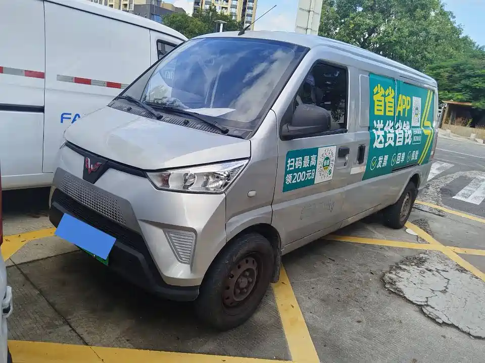 Wuling Wuling EV50