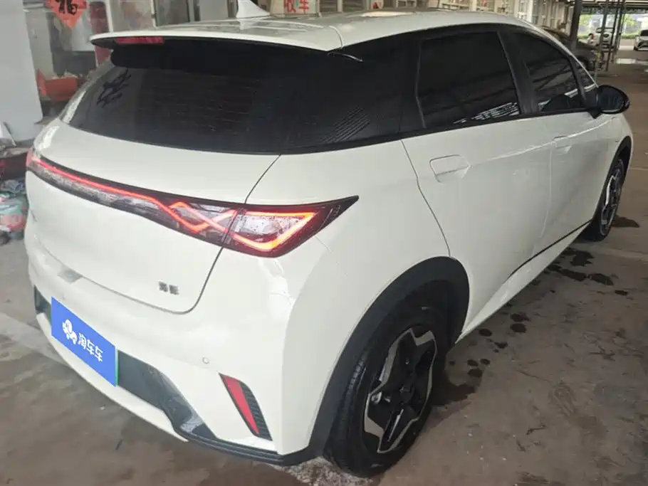 BYD dolphin
