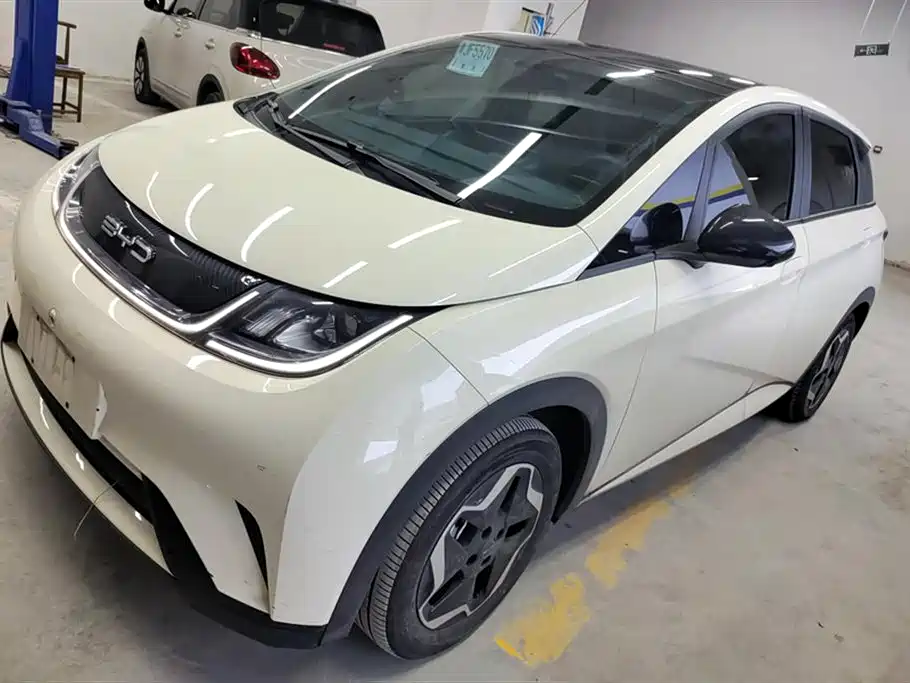 BYD dolphin