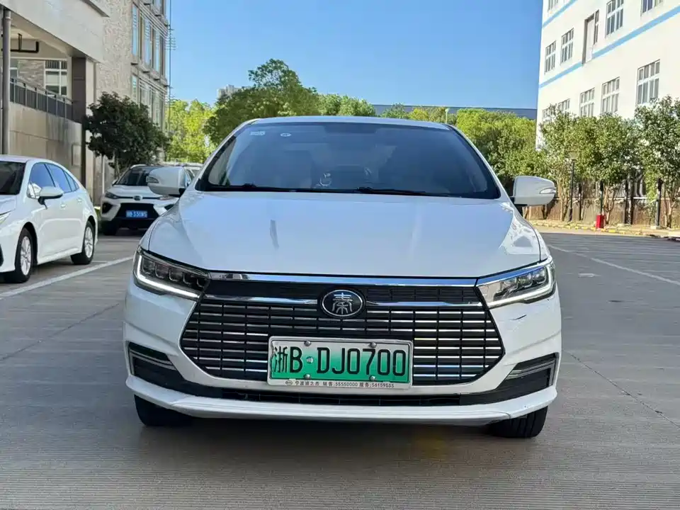 BYD Qinxin Energy
