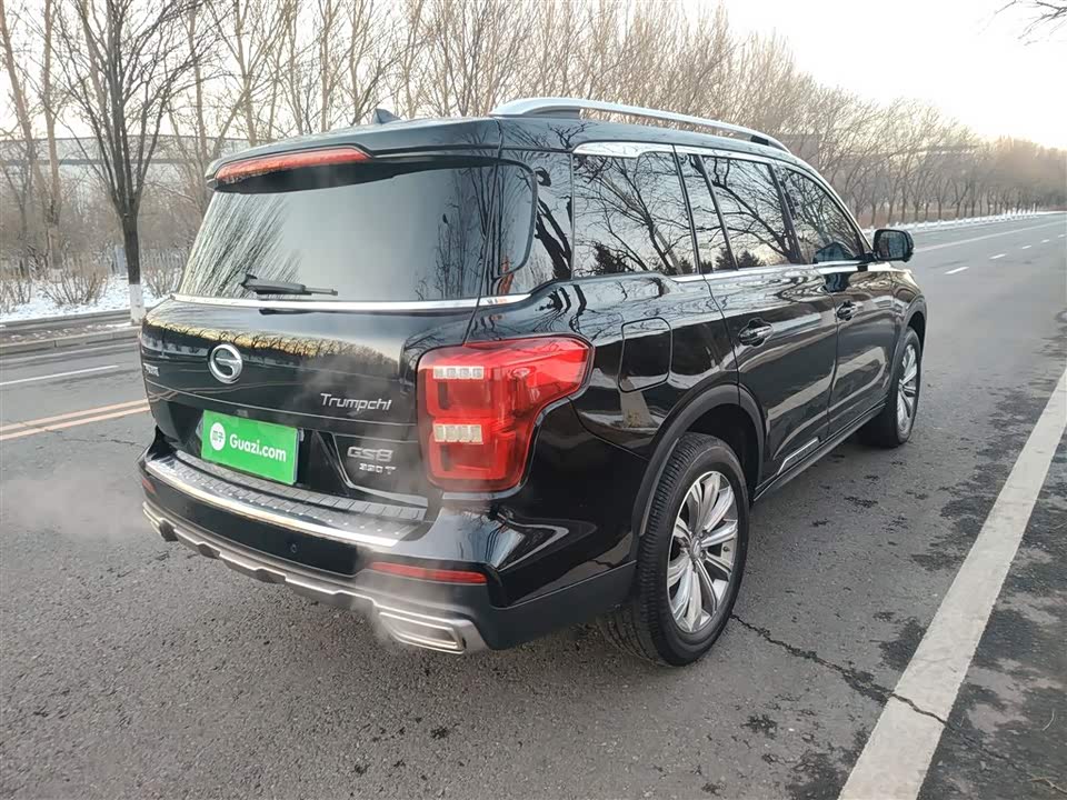 Trumpchi Trumpchi GS8