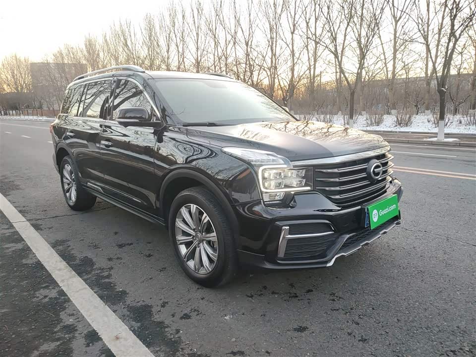 Trumpchi Trumpchi GS8