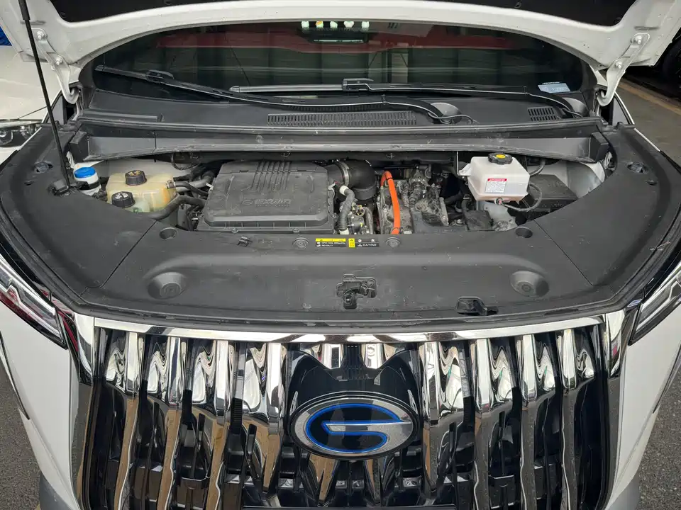 Trumpchi Trumpchi M8