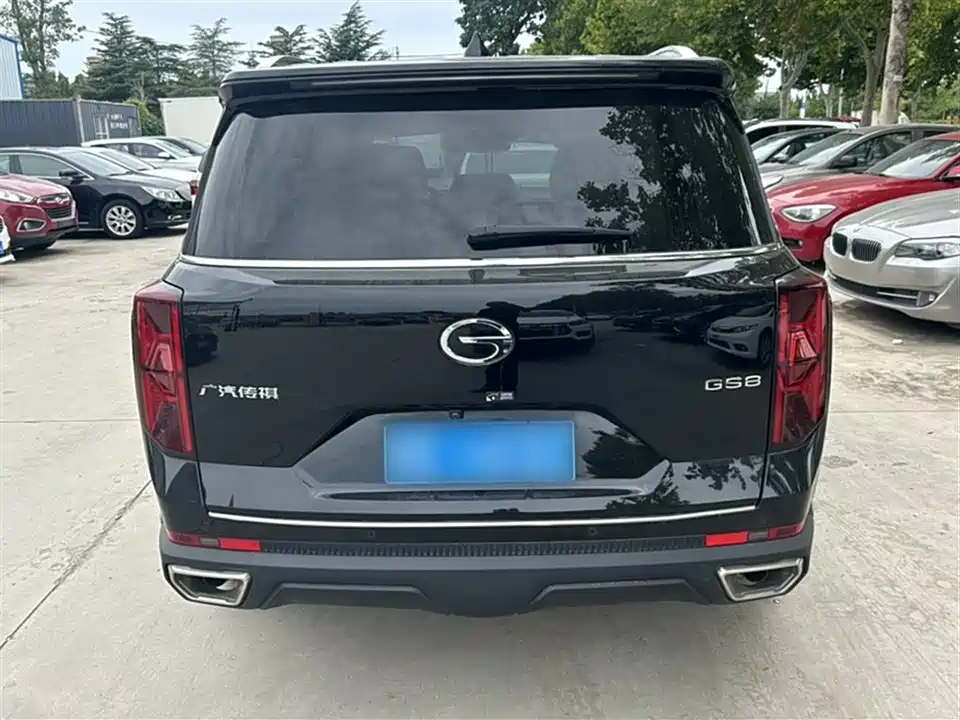Trumpchi Trumpchi GS8