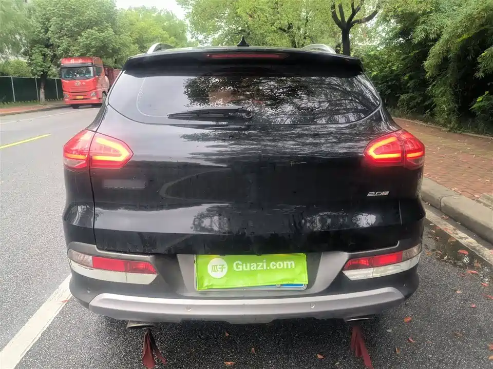 Leopaard Cheetah CS10