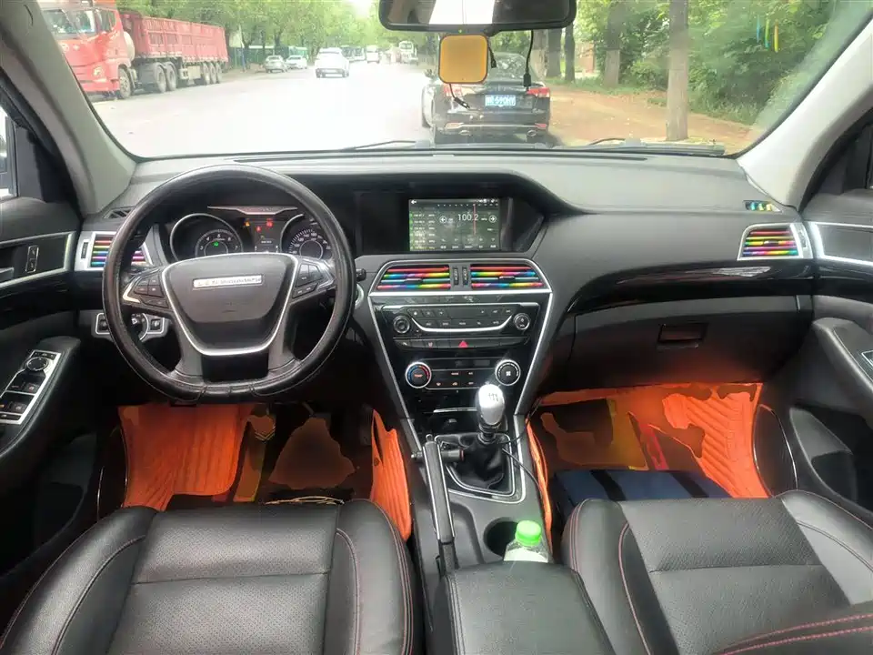 Leopaard Cheetah CS10