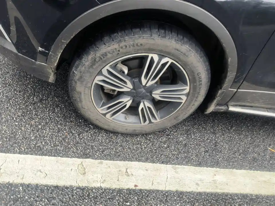 Leopaard Cheetah CS10