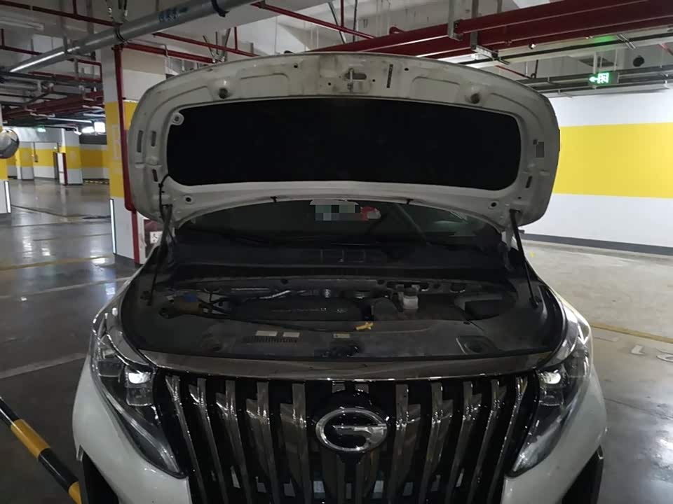 Trumpchi Trumpchi M8