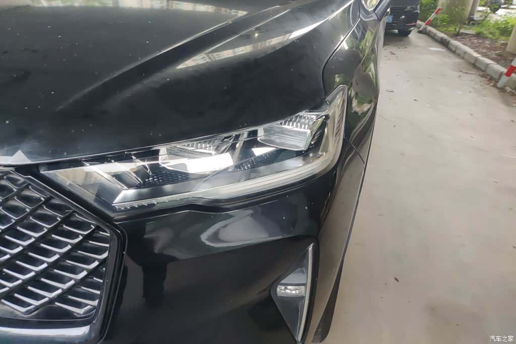 Haval H6, 2022 все фото