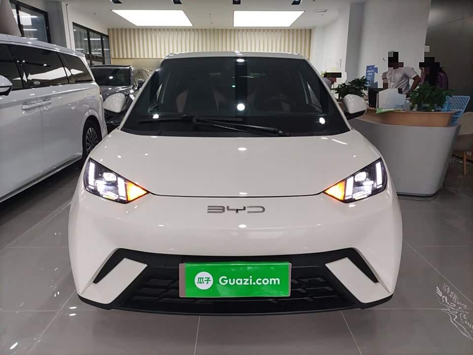 BYD Seagull