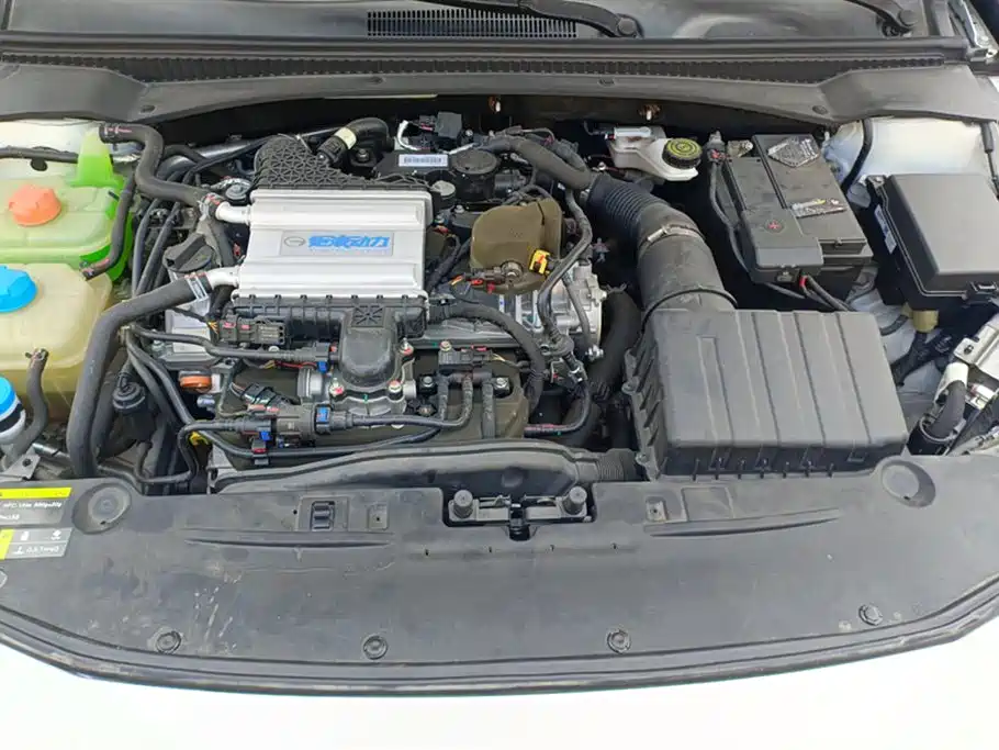 Trumpchi Shadow Leopard