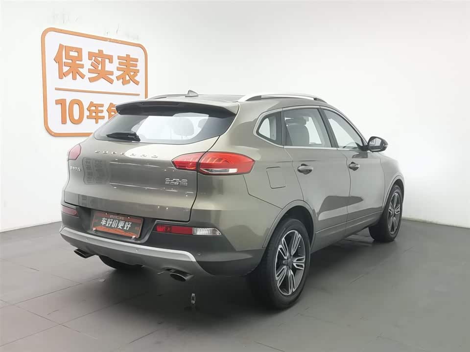 Leopaard Cheetah CS10