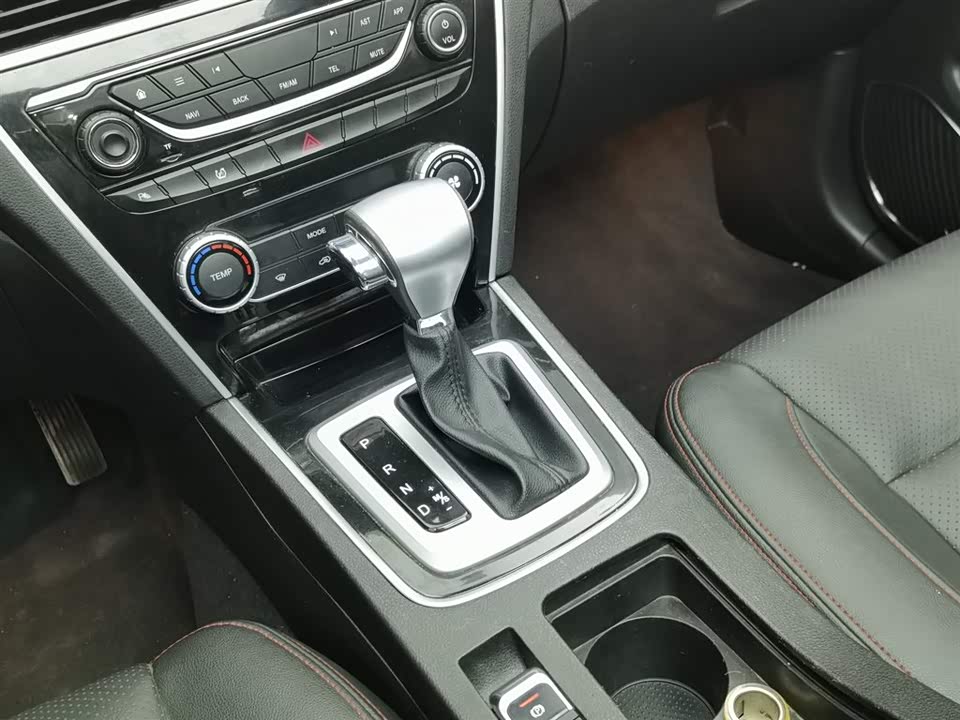 Leopaard Cheetah CS10