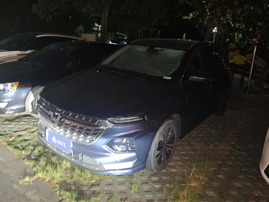 Wuling Wuling Capgemini