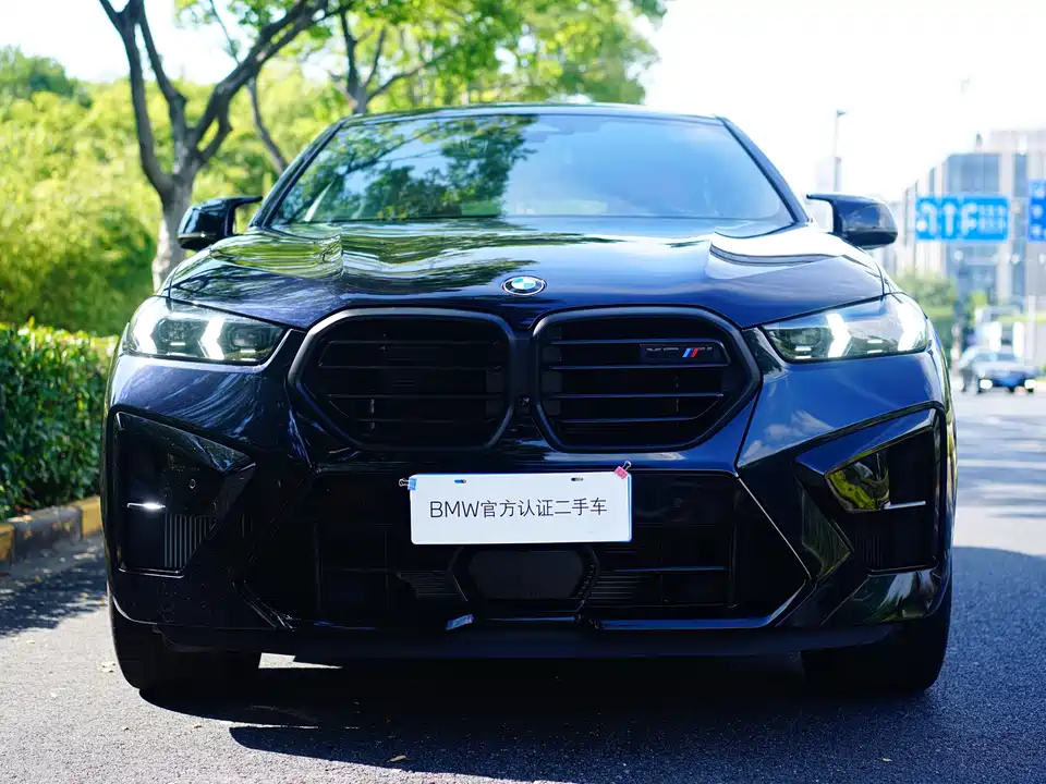 BMW X6 M