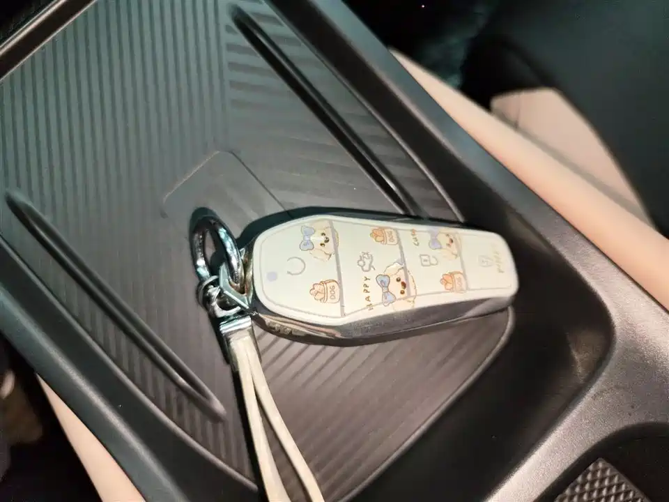 BYD Seagull