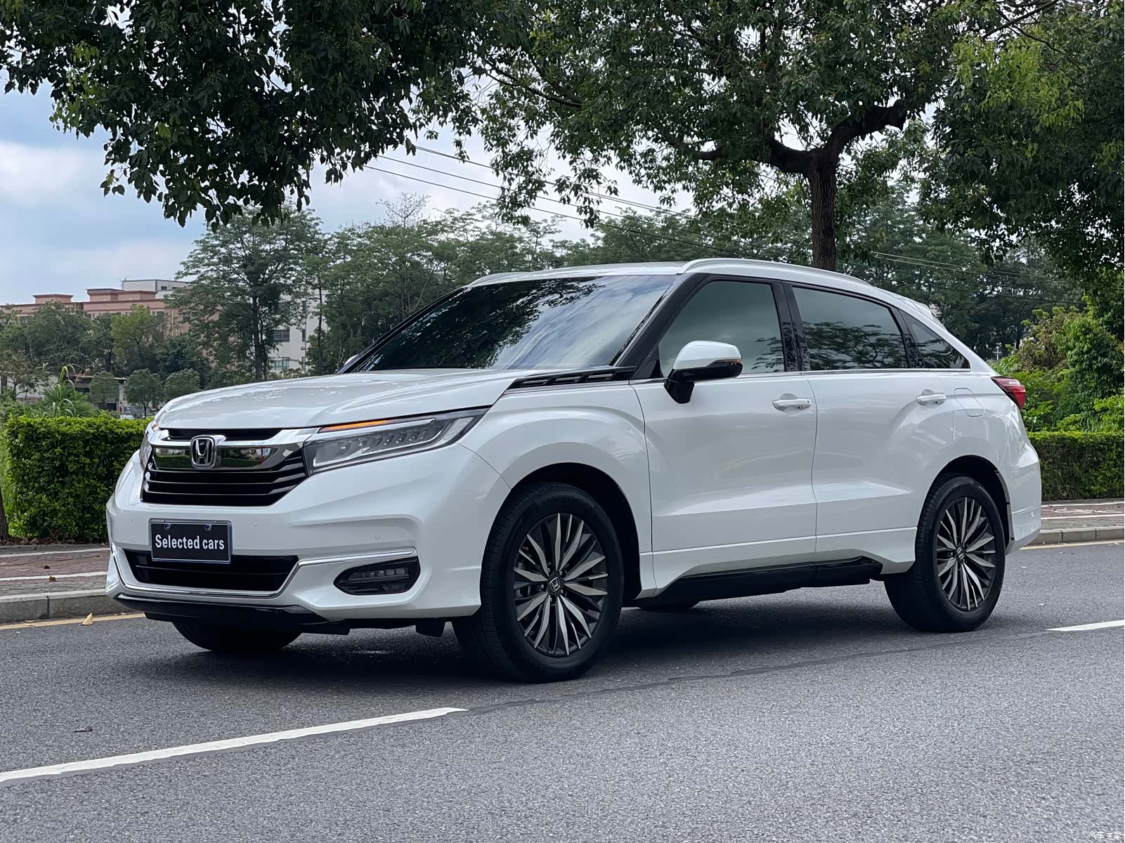Honda Avancier