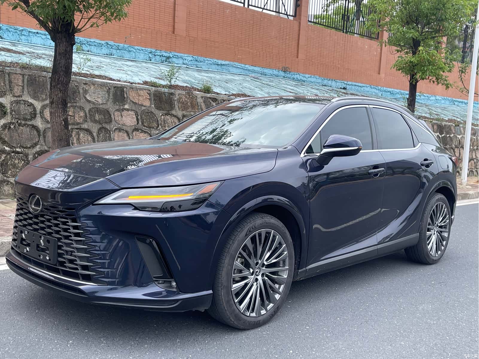 Lexus RX, 2024 1
