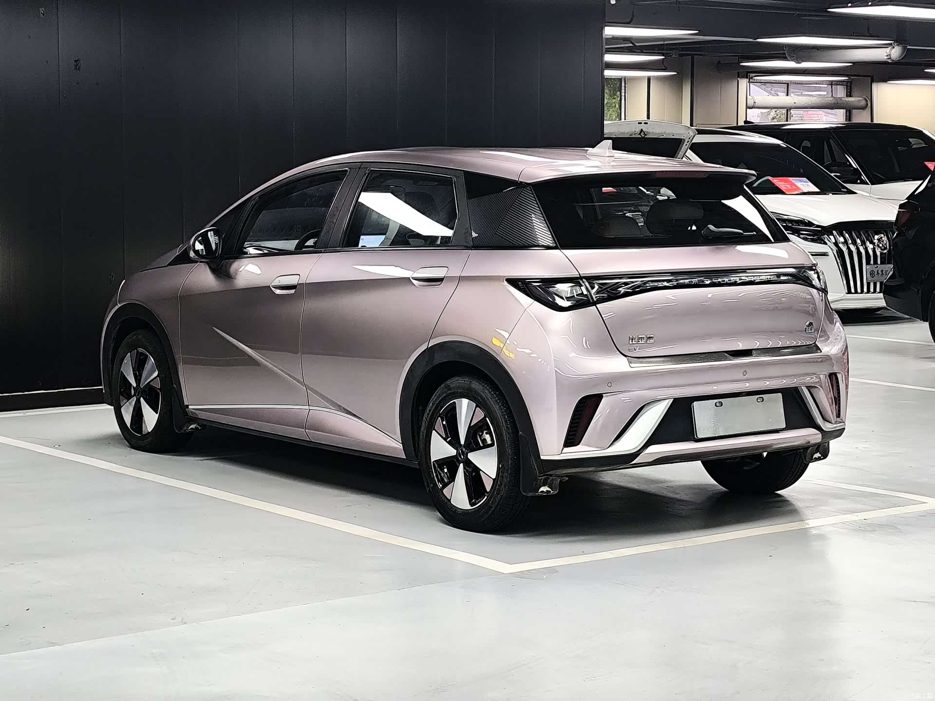 BYD Dolphin, 2023 18