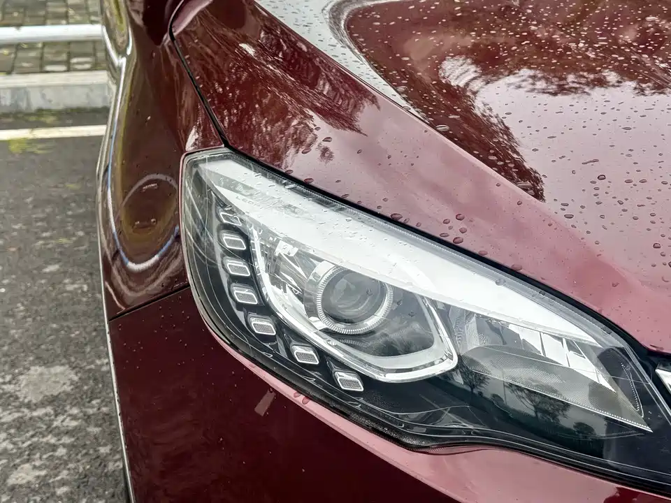 Leopaard Cheetah CS10