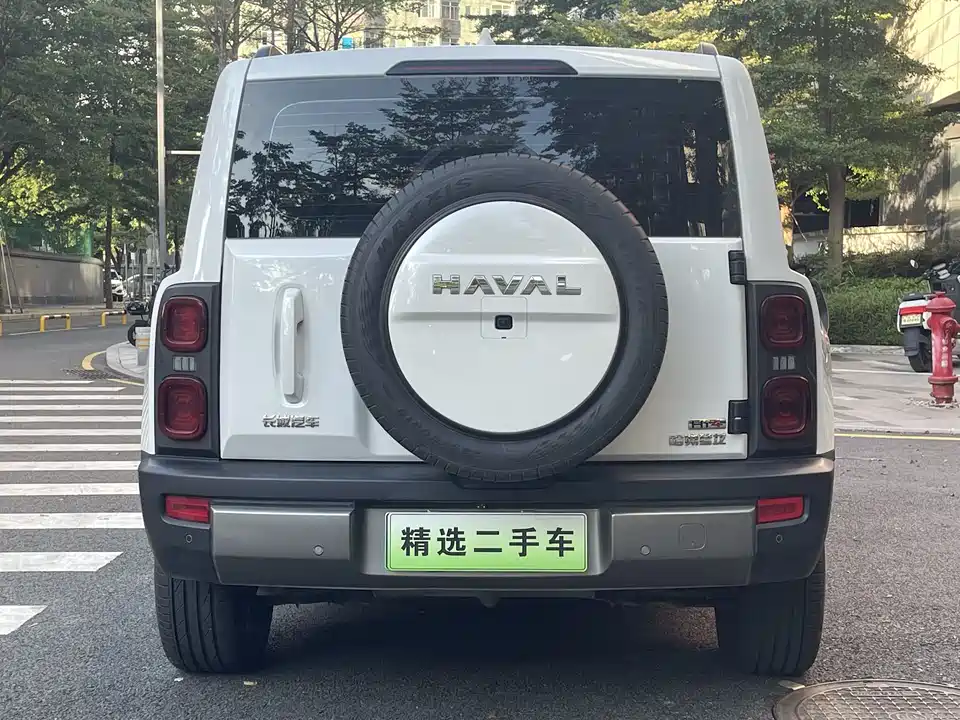 Haval Raptors