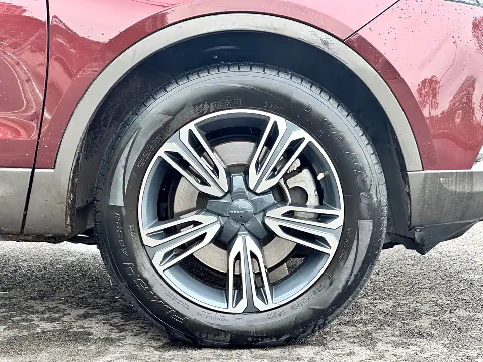 Leopaard Cheetah CS10