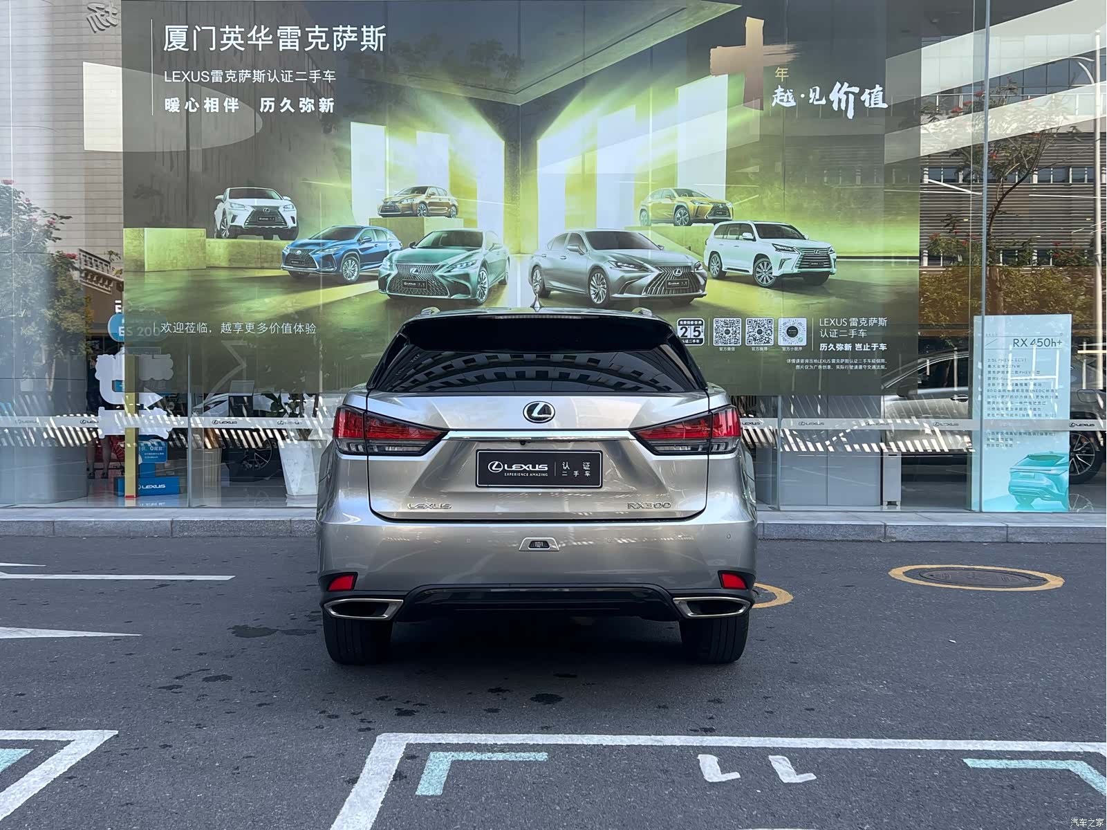 Lexus RX, 2022 10
