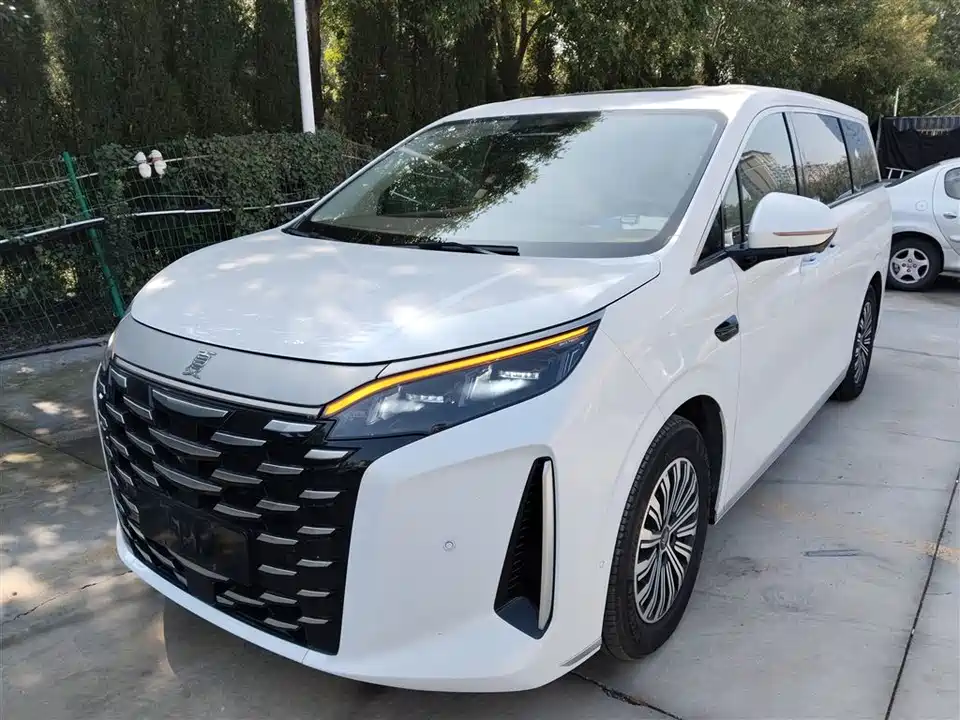 BYD summer BYD summer