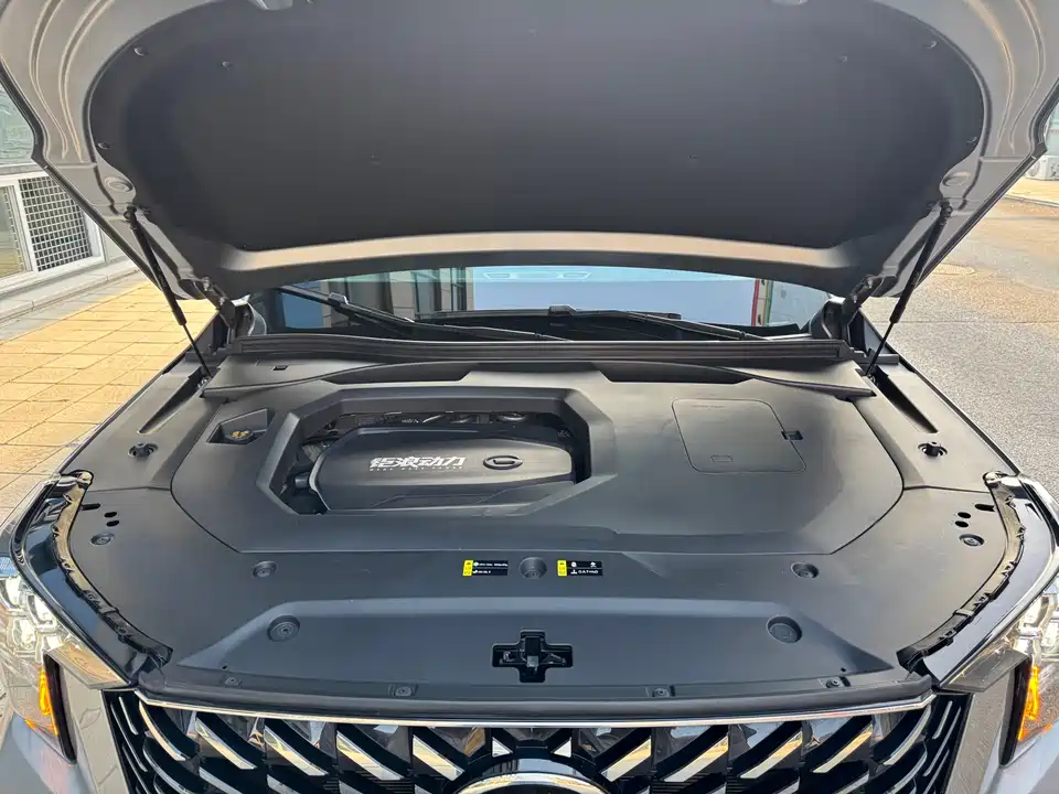 Trumpchi Trumpchi GS8