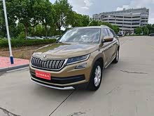 �µ��ǿ� 2018�� �Ŀ� TSI330 5����������������